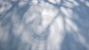 Abstract blurred shadow of tree on the hood of a white car. Top view