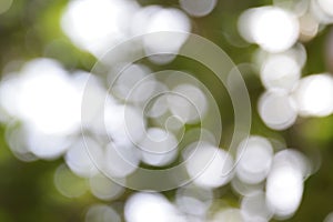 Abstract bokeh background in green,copy space,abstract wallpaper,de focus,blurry pattern