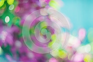 Abstract bokeh and blurred colorful nature background model used to stick text