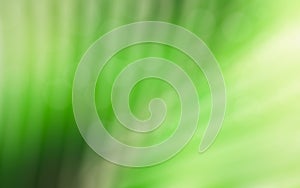 Abstract bokeh green blur background texture