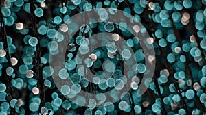 Abstract Bokeh Lights Background with Teal and White Glow