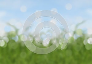 Abstract bokeh sky and grass summer background
