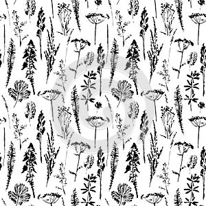 Abstract botanical seamless pattern. Vector herbal background.