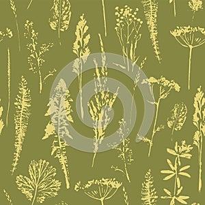 Abstract botanical seamless pattern. Vector herbal background.