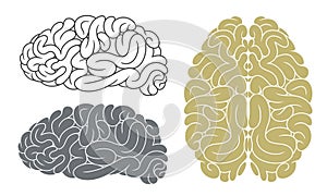 Abstract Brain. Head. Mind