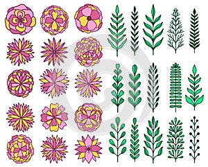 Abstract branch leaves nature and flower set collection hand drawn. Ethnic ornament, floral print, textile fabric, botanical