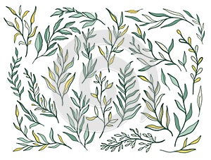 Abstract branch leaves nature set collection hand drawn. Ethnic ornament, floral print, textile fabric, botanical element