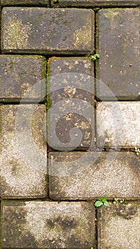 Abstract brick background at backyards