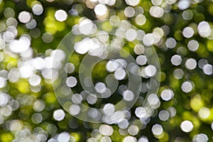 Abstract bright green blurred bokeh background close up, defocused round green and white lights texture backdrop