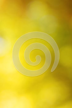 Abstract bright yellow bokeh