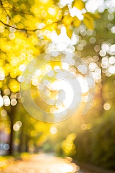 Abstract bright yellow defocused image. Optical bokeh patterns