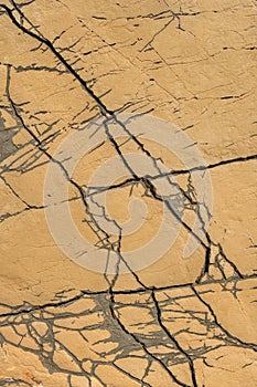 Abstract brown background