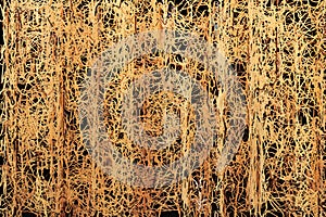 Abstract brown lines on Dark Background