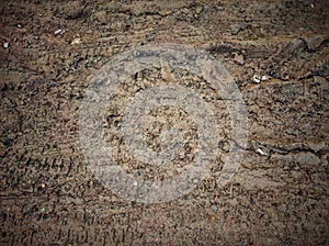 Abstract Brown Texture of old concrete wall.Grunge Background Texture, Abstract Dirty Splash Painted Wall.