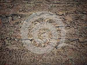 Abstract Brown Texture of old concrete wall.Grunge Background Texture, Abstract Dirty Splash Painted Wall.