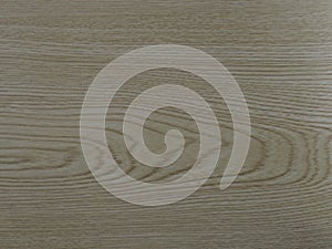 Abstract brown wood texture burr surface background, top view