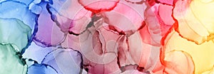 Abstract bubble blot watercolor rainbow color paintting background. Marble alcohol ink