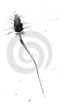 Abstract burdock flower with blot and splash. Isolated on white. Hand drawn china ink on paper textures. Inkdrawn collection.