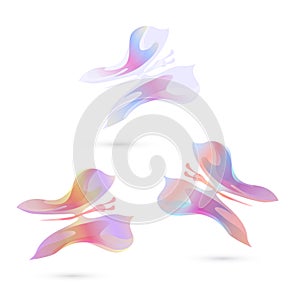 Abstract butterfly for design