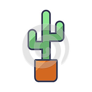 Abstract cactuses flower pot plant flat style