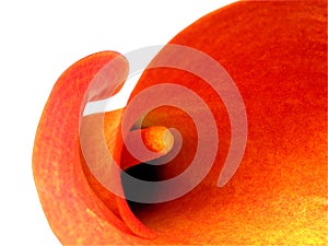 Abstract cala-clipping path