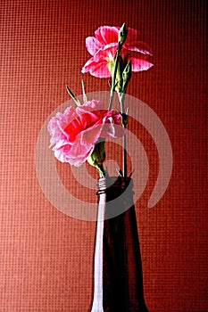 Abstract Carnation Background Design.