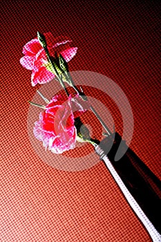 Abstract Carnation Background Design.