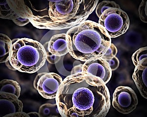Abstract cells in mitosis purple photo