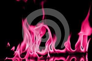 Abstract chemical pink fire flame isolated on black background