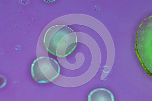 abstract chemistry background bubbles. Fluorescent liquid bubbles on purple background, macro photo simulation of organic cells