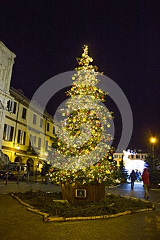 Abstract Christmas background with defocused effect and film grain effet of the italian square with christmas tree