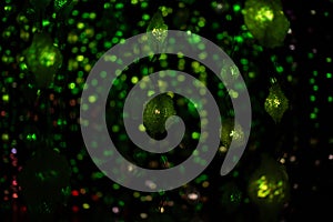 Abstract Christmas green garland lights on black background