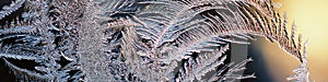 Abstract Christmas headline. Ice crystals on frozen window glass pane. Frost drawing. Winter season pattern. Dark blue banner with