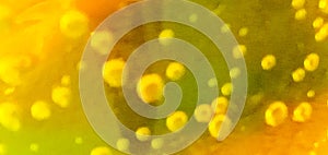abstract circle texture pattern light yellow multi blur glitter beautiful bright with light orange green background for background