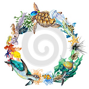 Abstract circle wreath of tropical reef fish, sea turtles, sea horses, jellyfish, squid, corals, anemones, algae, mollusk nautilus