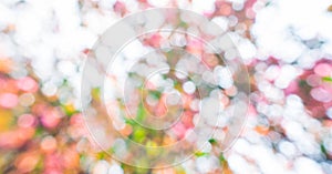 Abstract circular bokeh background