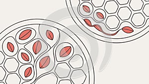 Abstract Circular Cellular Geometric Pattern Design, vector design Generative AI