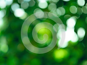 Abstract circular light bokeh background. Green leaves bright colors yellow light shining. Abstract background concept