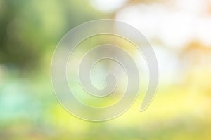 Abstract circular light bokeh background. Green leaves bright colors yellow light shining. Romantic soft gentle artistic image.