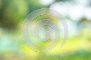 Abstract circular light bokeh background. Green leaves bright colors yellow light shining. Romantic soft gentle artistic image. Be