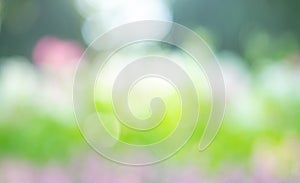 Abstract circular light bokeh background. Green leaves bright colors yellow light shining. Romantic soft gentle artistic image.