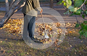 Abstract cleaning swimming pond in the park from fallen leaves with skimmer, autumn, job in the city outdoors