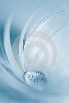 Abstract cleanness background.