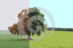 Abstract collage with different sides of tree with changing seasons