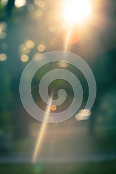 Abstract color blurred background sun light