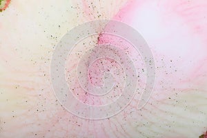 Abstract color blurred background