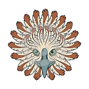 Abstract color illustration with eagle head and feathers. Isolated vector object.