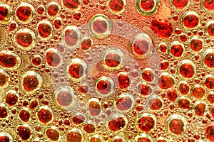 Abstract colored bubble background