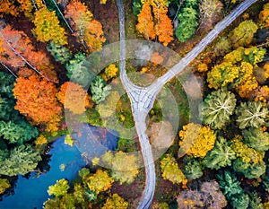 Abstract colorful above drone view of path in the middle of picturesque autumn forest on digital art concept, Generative AI