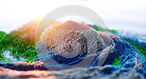 Abstract colorful background. Digital nature art mountain rock. Abstract 3d topographic nature landscape. 3D Rendering